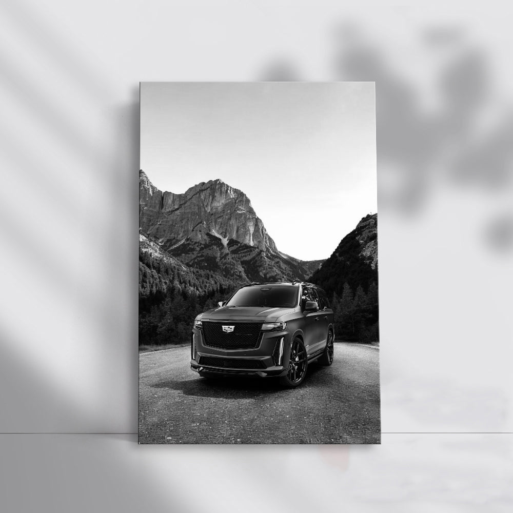 Monochrome Cadillac Elegance - Timeless Style in Motion