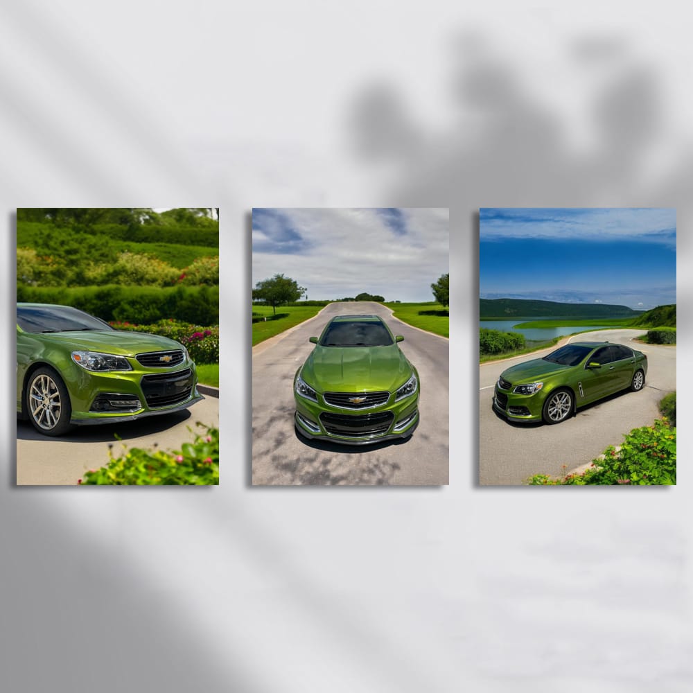 Cevrolet Chevy Ss Nature Set of 3