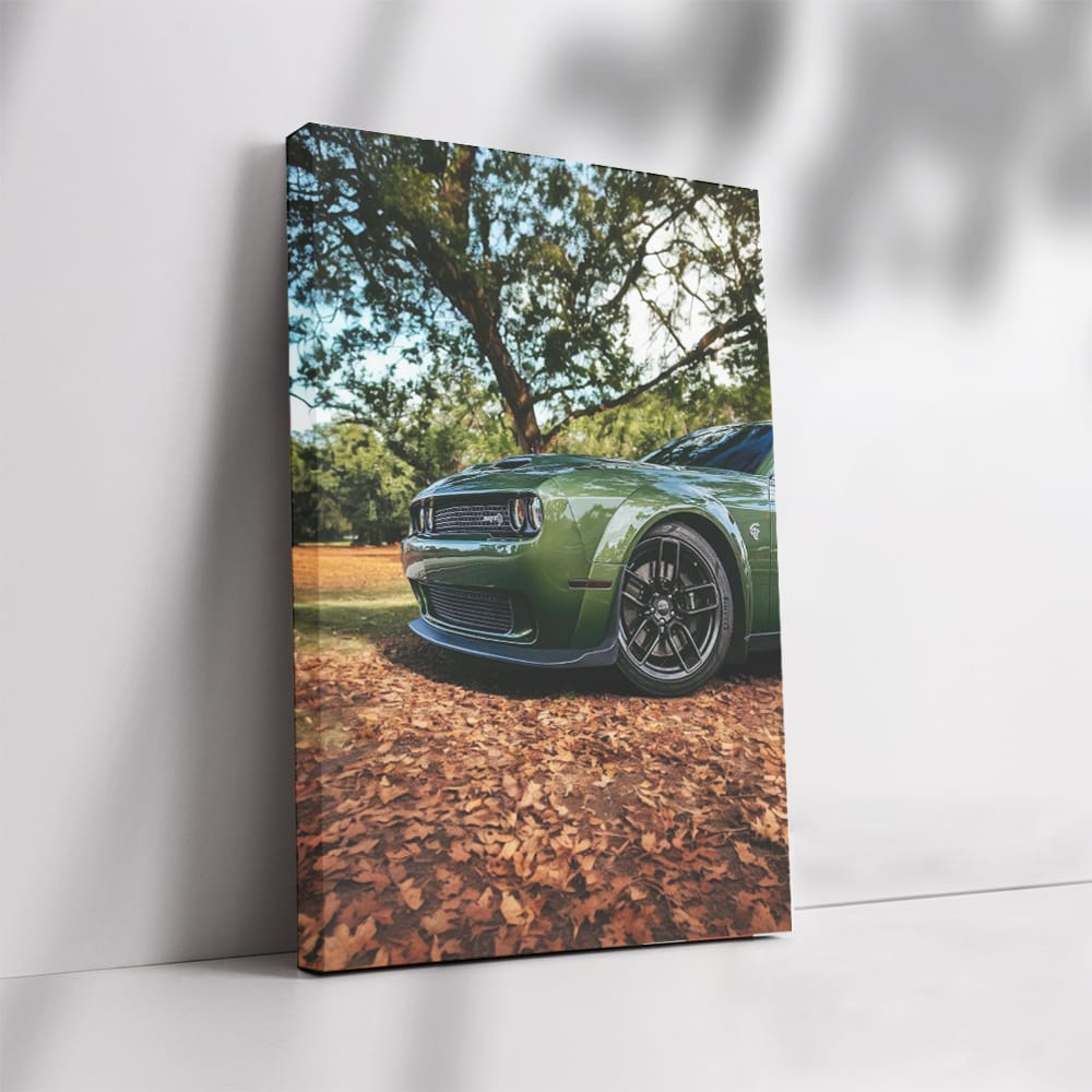 Autumn Challenge - Car Elegance and Power