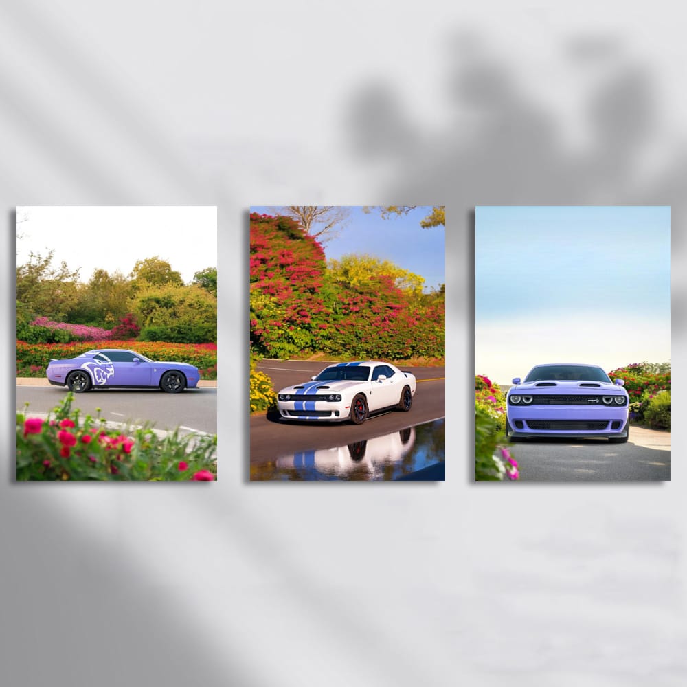 Dodge Challenger Nature Set of 3