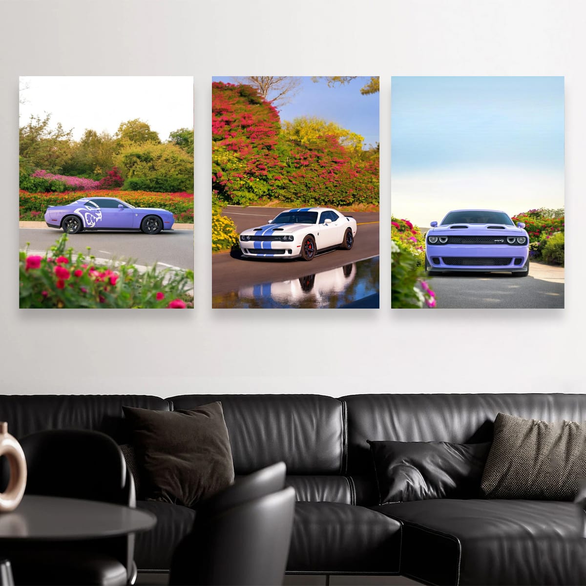 Dodge Challenger Nature Set of 3