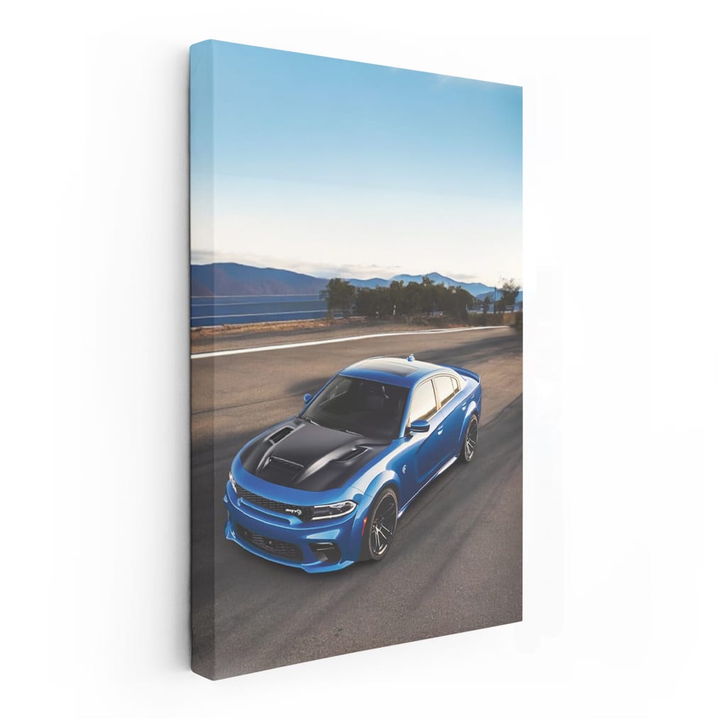 Dodge Charger Cruising - Performance and Power Unleashed