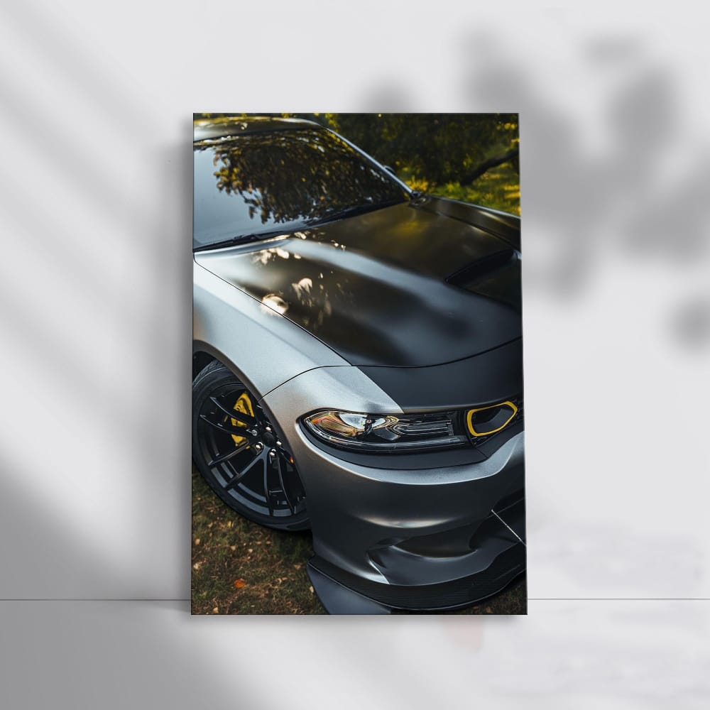 Classic Dodge Charger Parked in Garden - Timeless Muscle
