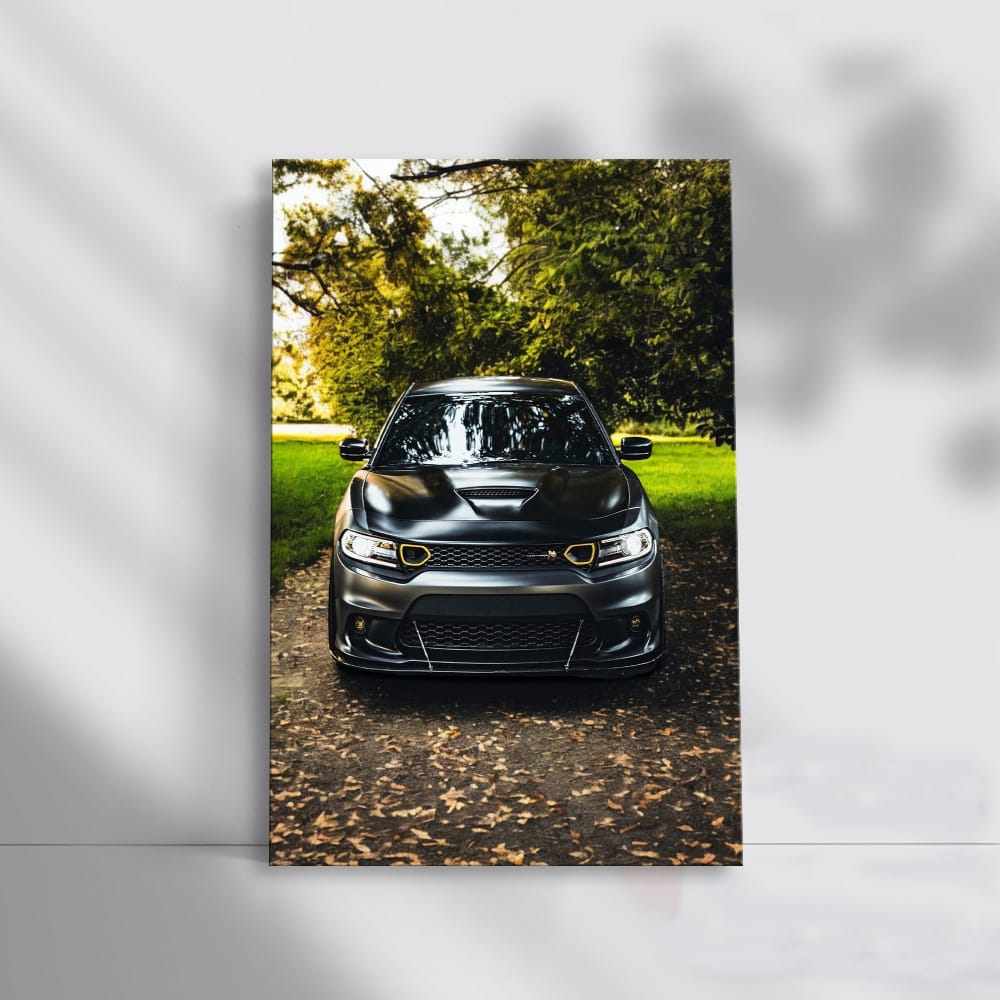 Dodge Charger Parked in Garden - Icon of American Muscle