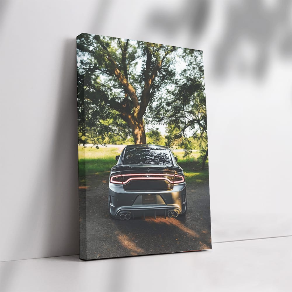 Dodge Charger Parked in Garden - Bold Muscle Car