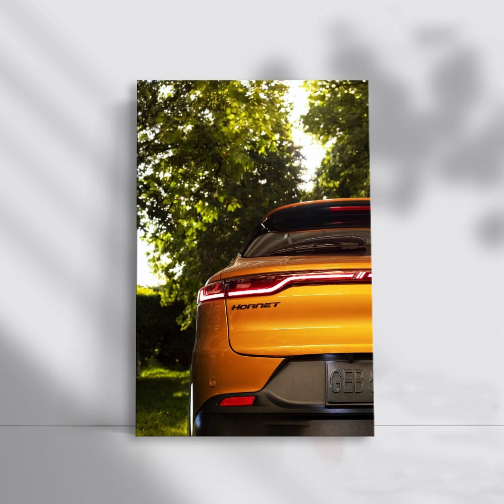 Yellow Dodge Hornet in Nature - Dynamic and Bold