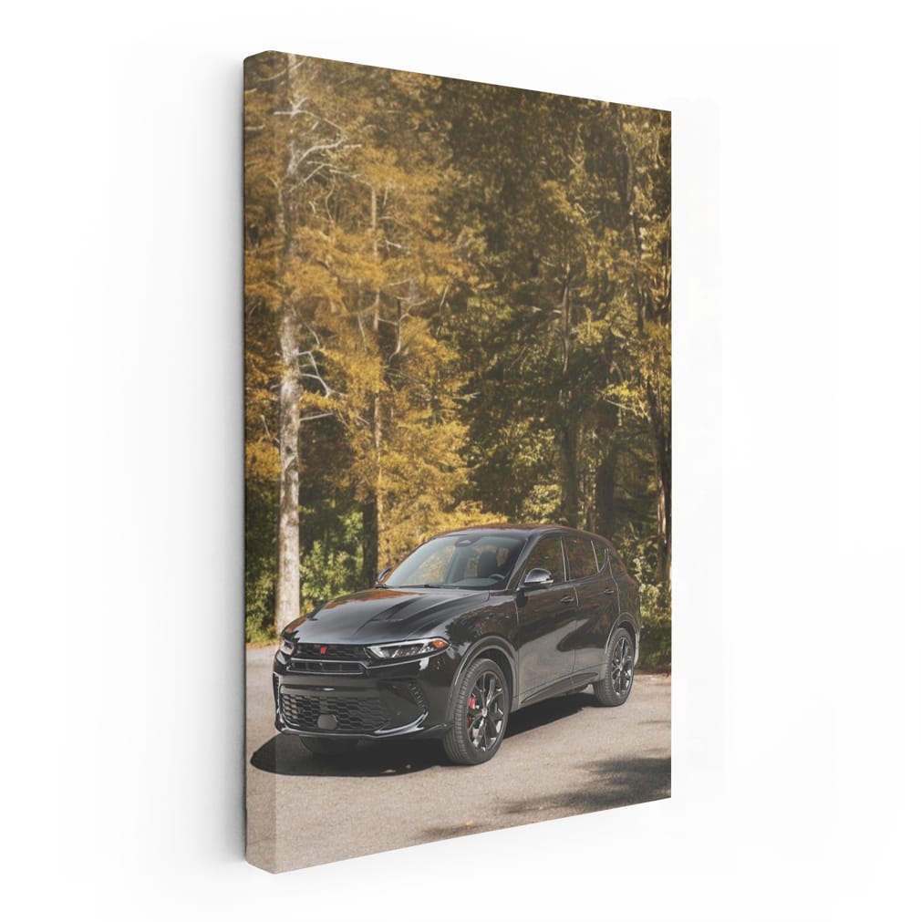 Dodge in Autumn - Sleek and Stylish Drive