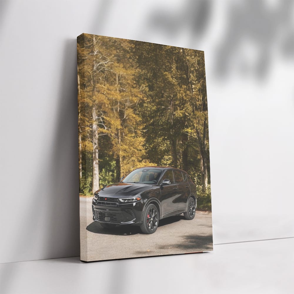 Dodge in Autumn - Sleek and Stylish Drive