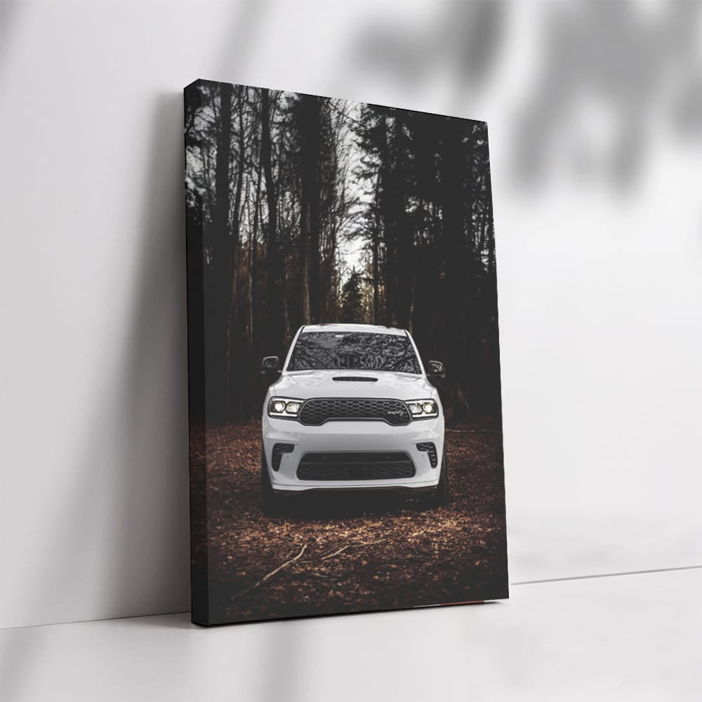 Dark Autumn Dodge - Sleek and Sophisticated Ride