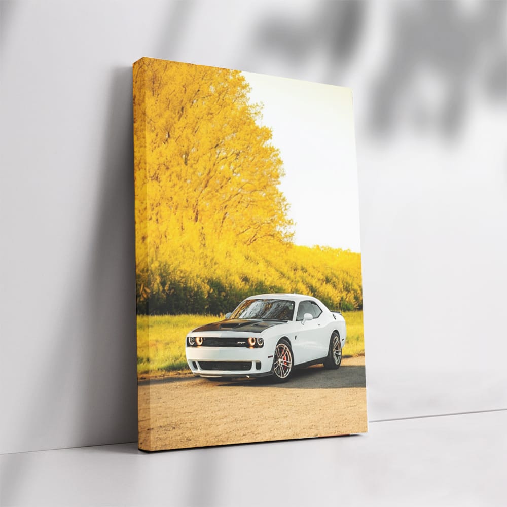 Dodge in Fall Weather - Powerful Drive Awaits