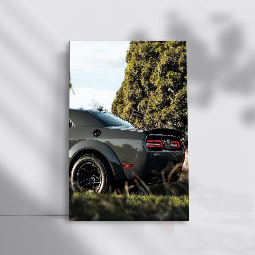 Evading Nature's Elements - Dodge 1 NTZK: Rugged Resilience