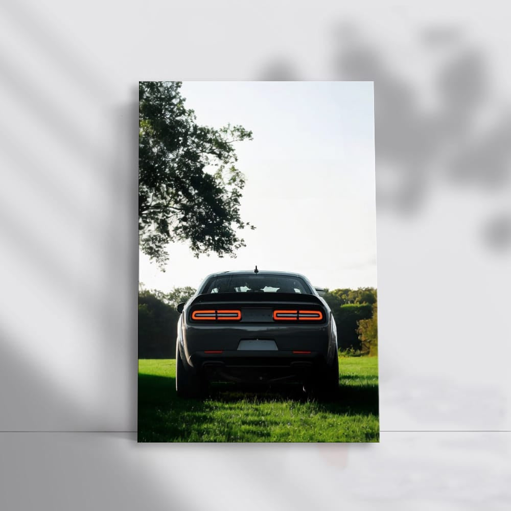 Dodge in Wild - Rugged Adventure Awaits