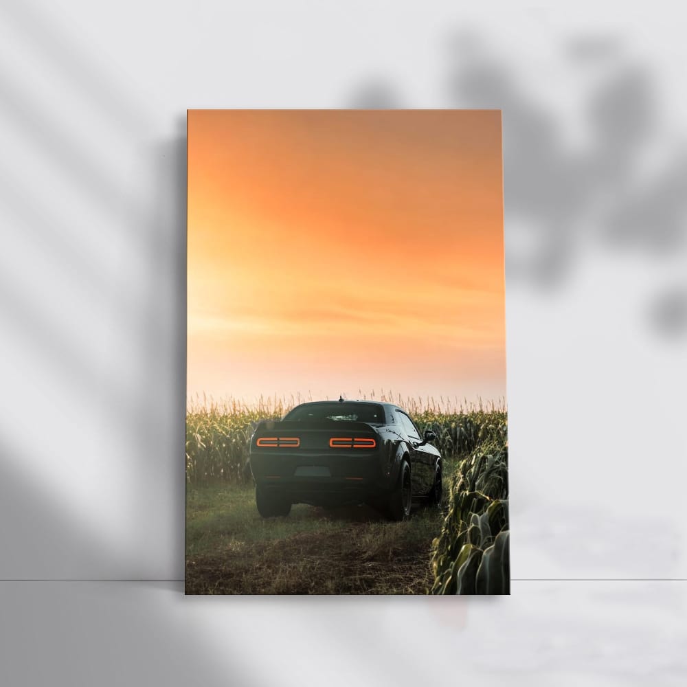 Dodge Sprint in Field - Rugged Adventure Awaits