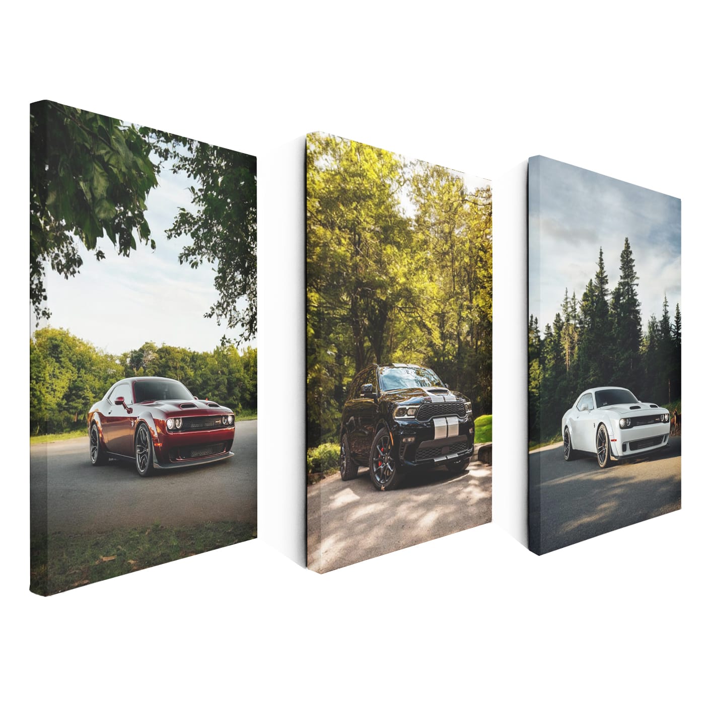 Dodge Nature Set of 3