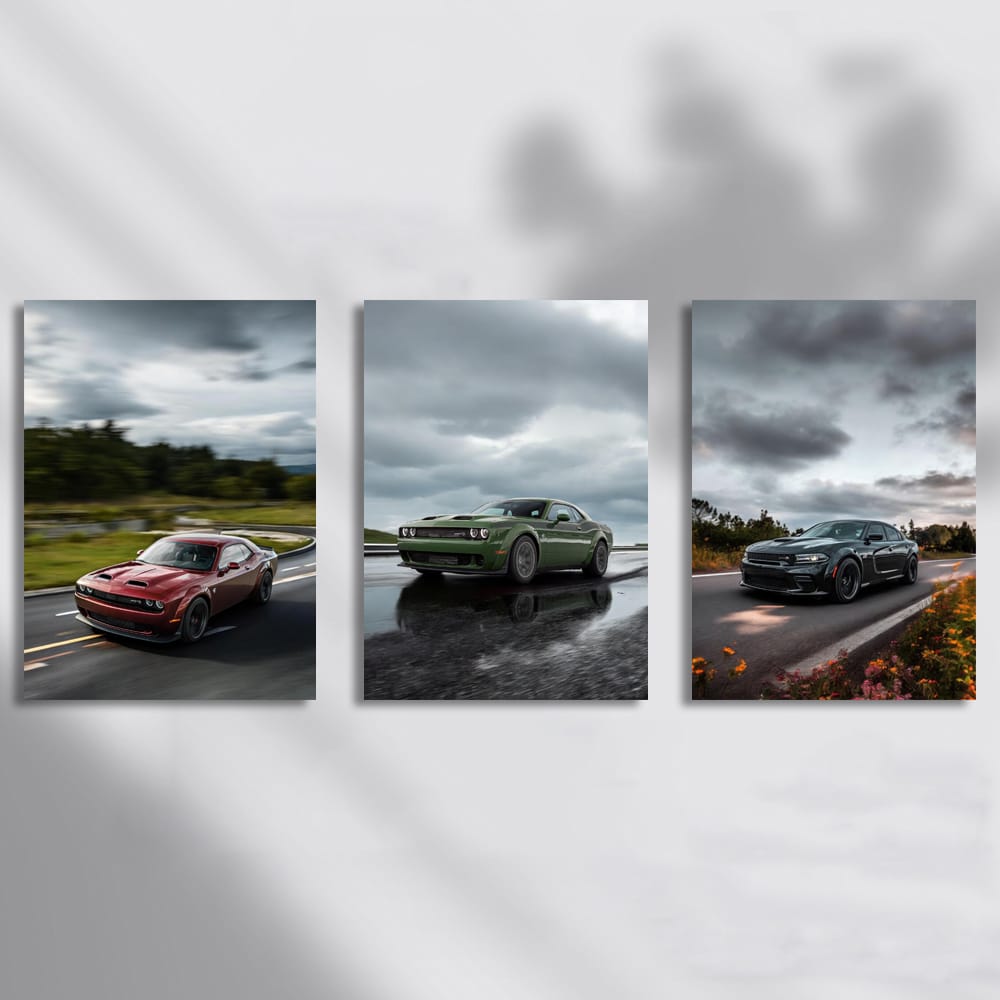 Dodge On The Road In Cloudy Weather Set of 3