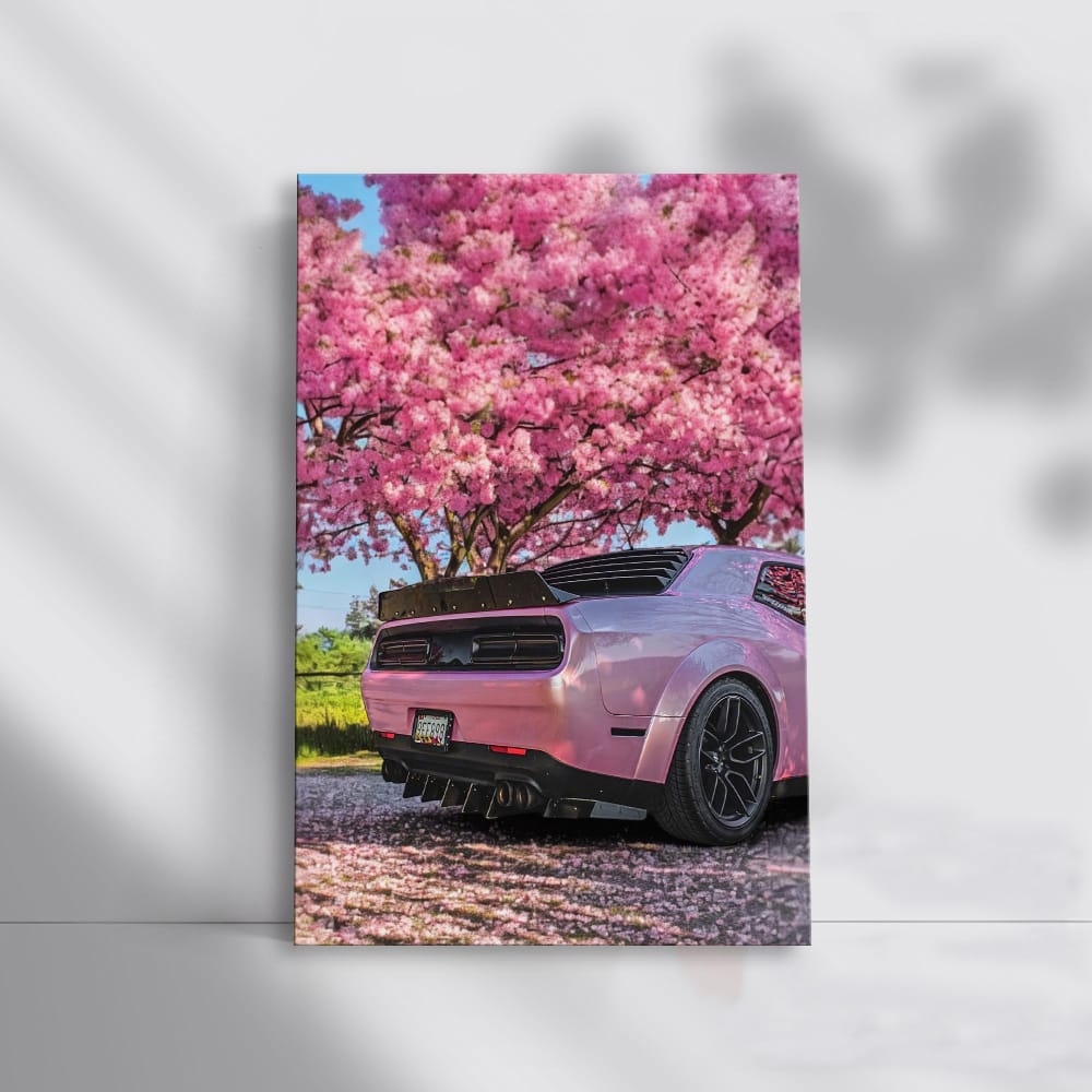 Pink Dodge Amid Sakura Blossoms - Elegant and Bold