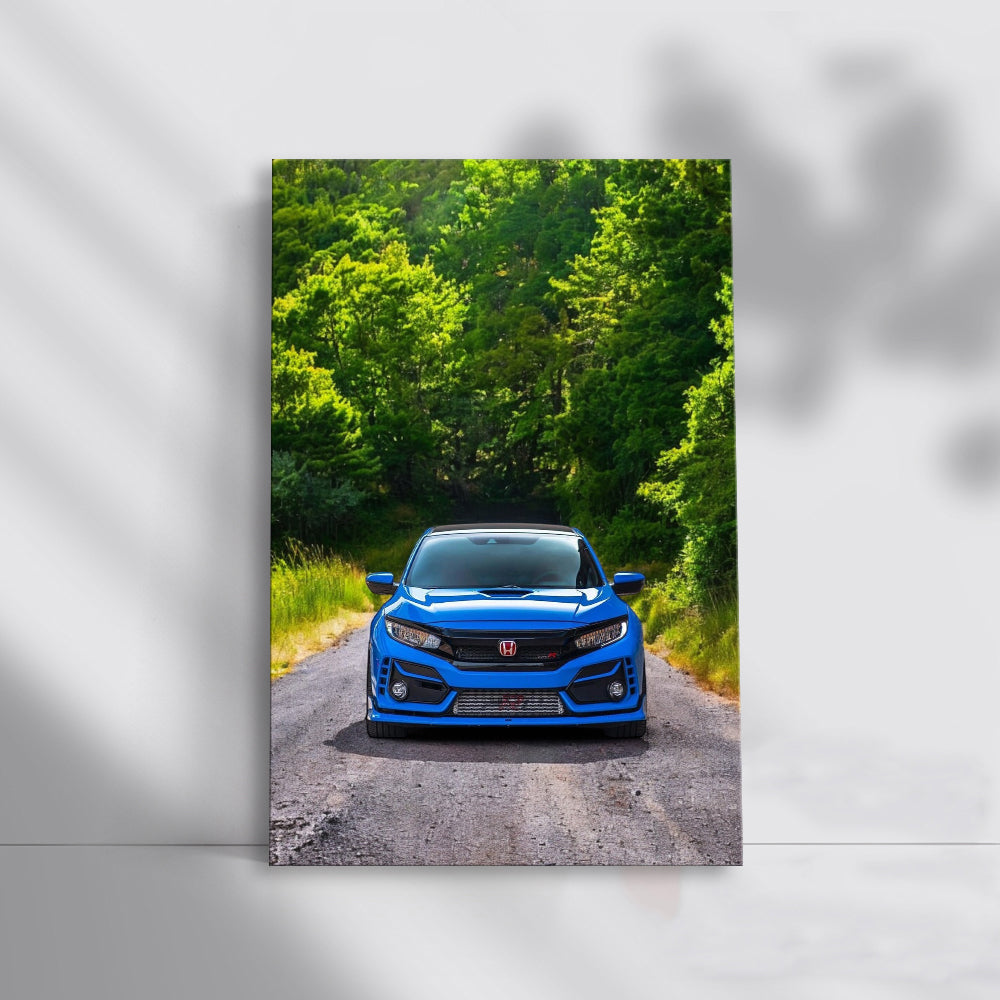 Honda Civic in Blue Amidst Nature - Blend of Style and Grace