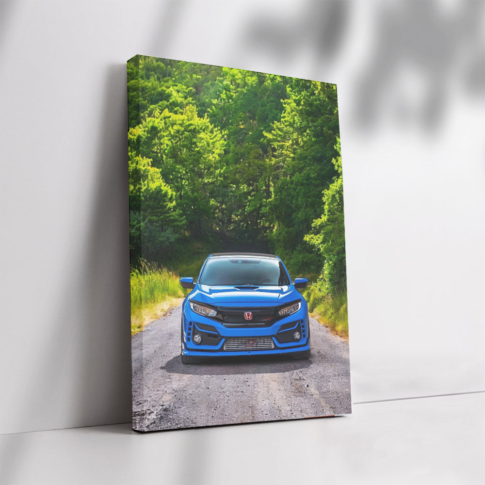 Honda Civic in Blue Amidst Nature - Blend of Style and Grace