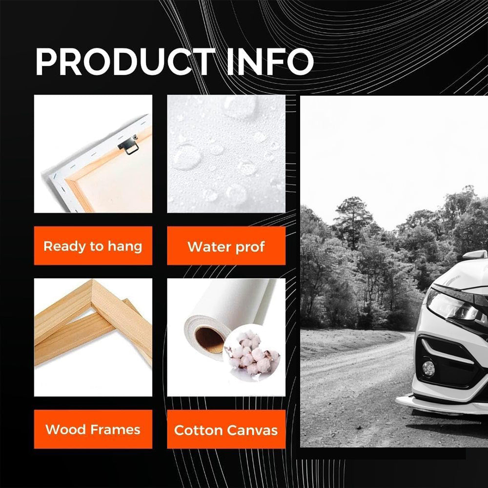 Honda Civic Black White 2 - Sporty & Sleek Design