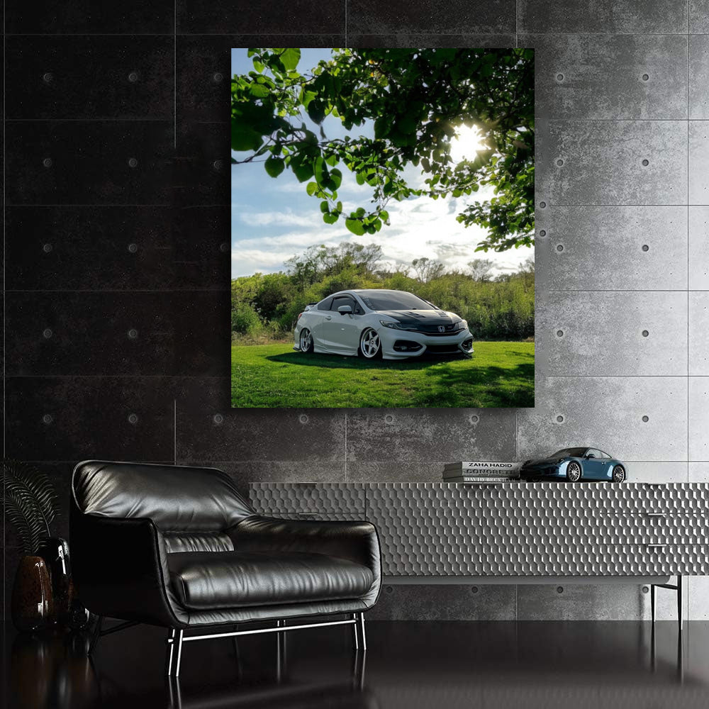 Honda Civic Nature Adventure 4 - Dynamic and Stylish