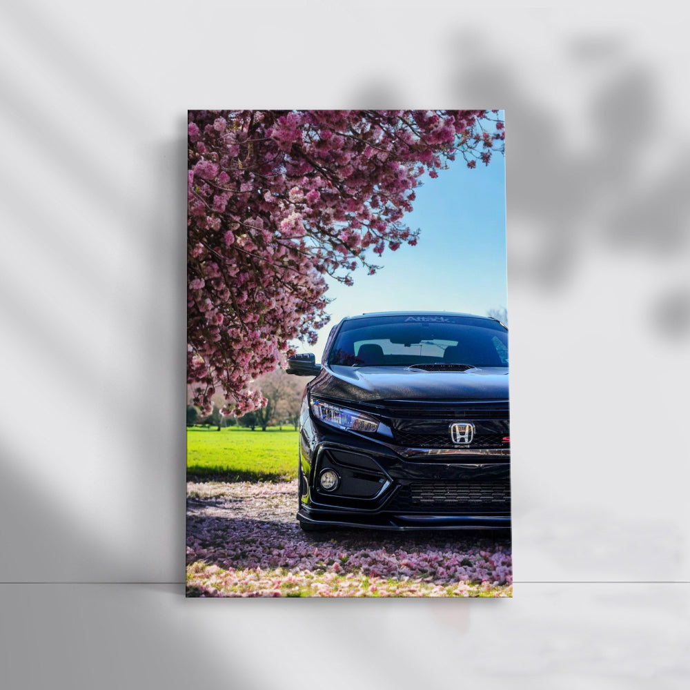 Black Honda Civic beneath Cherry Blossoms - Sleek Elegance