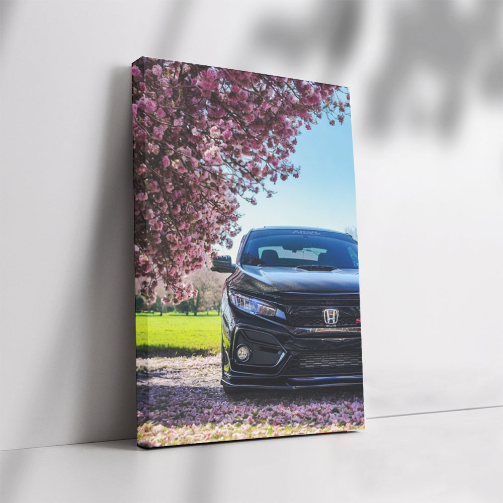 Black Honda Civic beneath Cherry Blossoms - Sleek Elegance