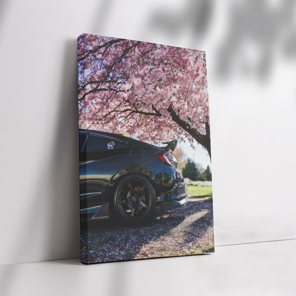 Black Honda Civic Under Cherry Blossoms - Elegant and Timeless