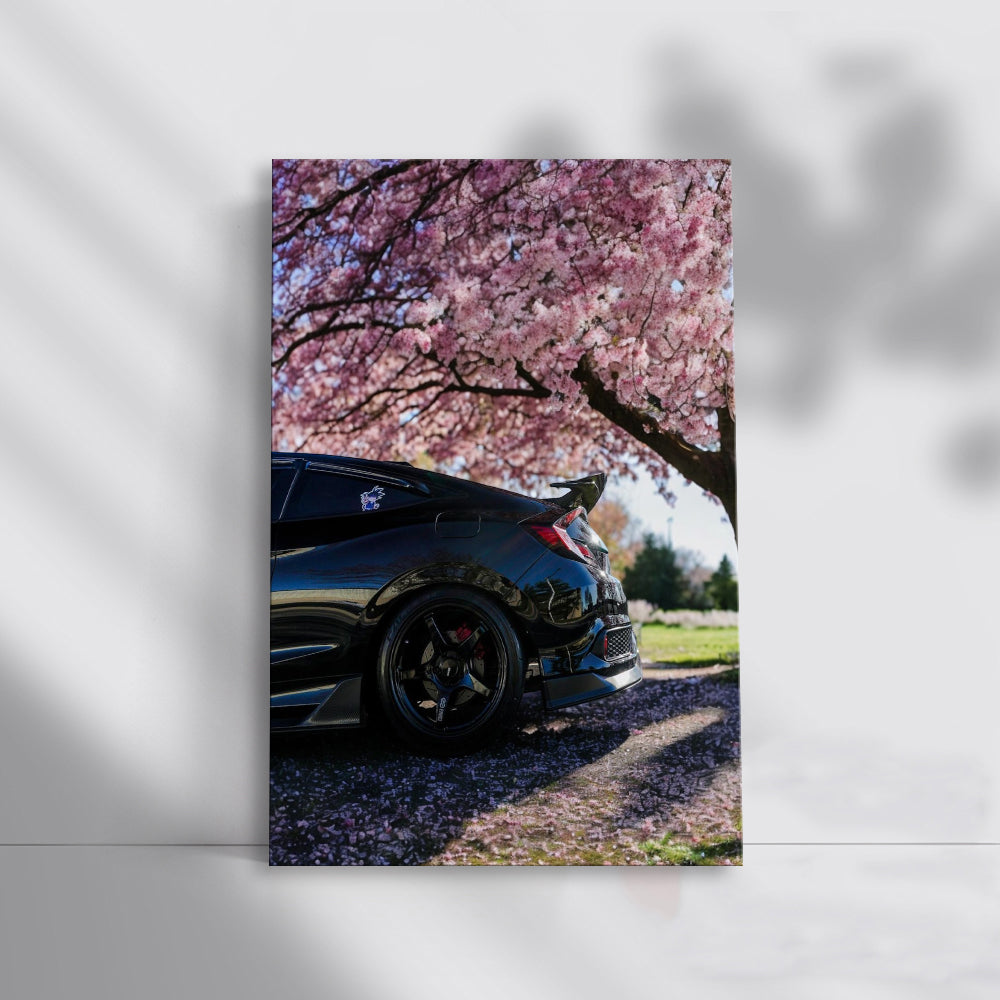 Black Honda Civic Under Cherry Blossoms - Elegant and Timeless