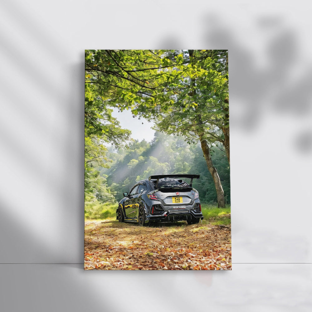 Silver Honda Civic in Forest - Elegant and Reliable