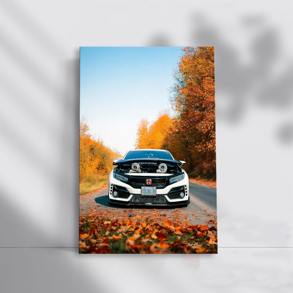 White Honda Civic in Autumn Park - Sleek and Stylish Ride
