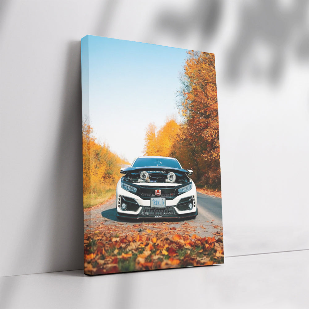 White Honda Civic in Autumn Park - Sleek and Stylish Ride