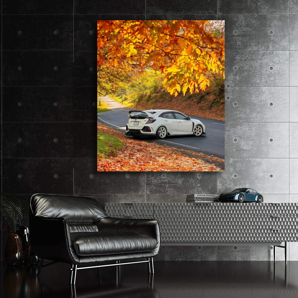 White Honda Civic in Autumn Park - Sleek and Stylish Ride