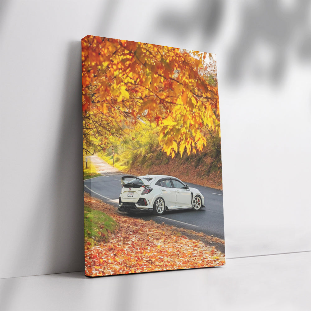 White Honda Civic in Autumn Park - Sleek and Stylish Ride