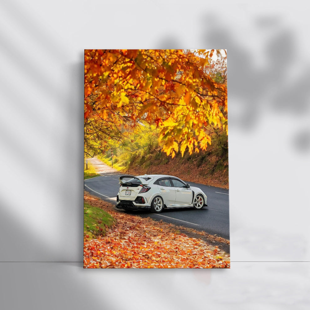 White Honda Civic in Autumn Park - Sleek and Stylish Ride