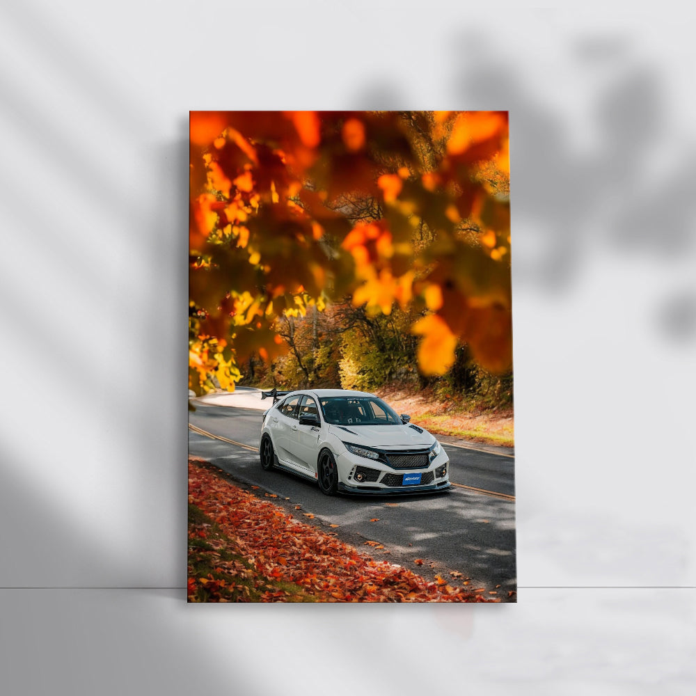 White Honda Civic in Autumn Park - Sleek, Reliable Ride