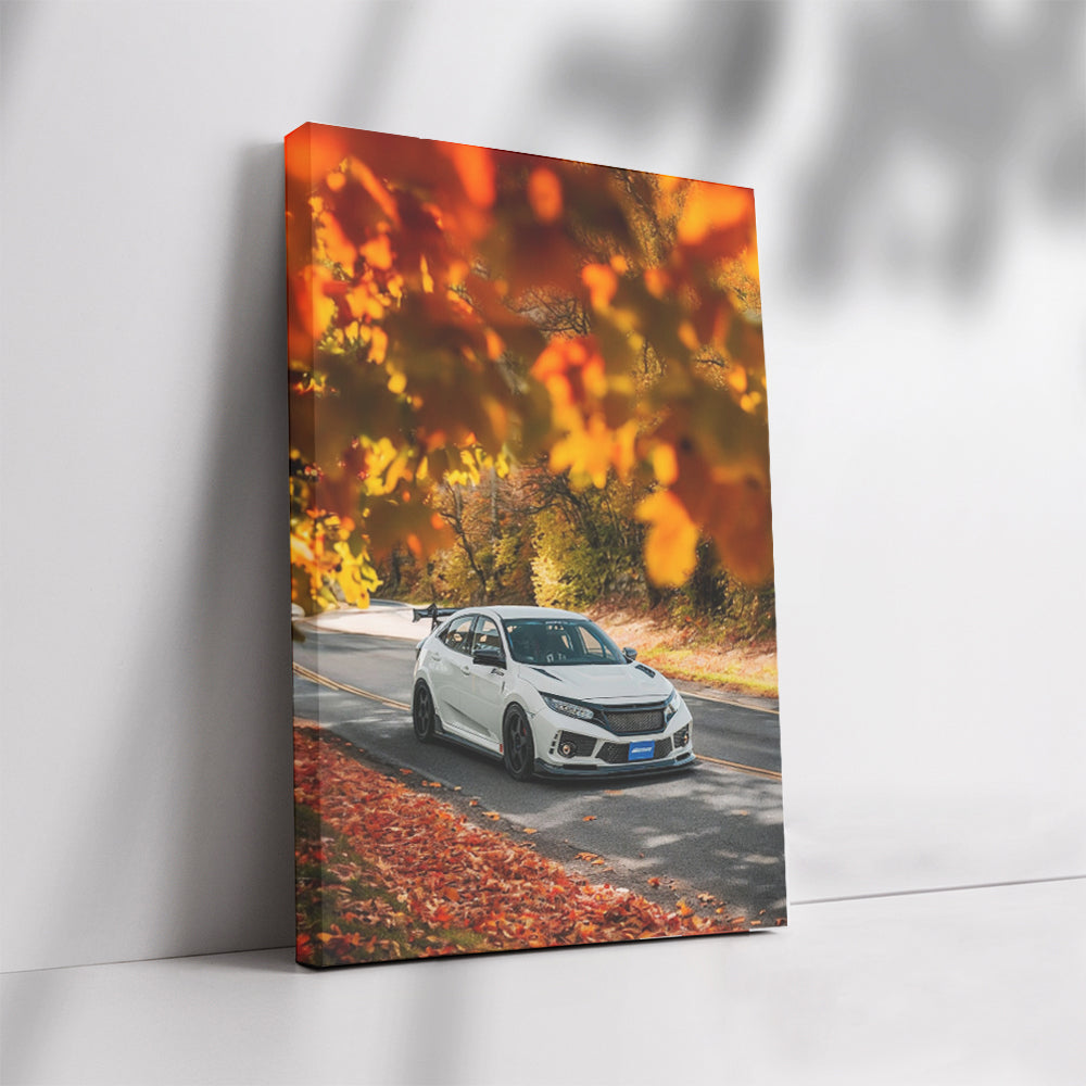 White Honda Civic in Autumn Park - Sleek, Reliable Ride