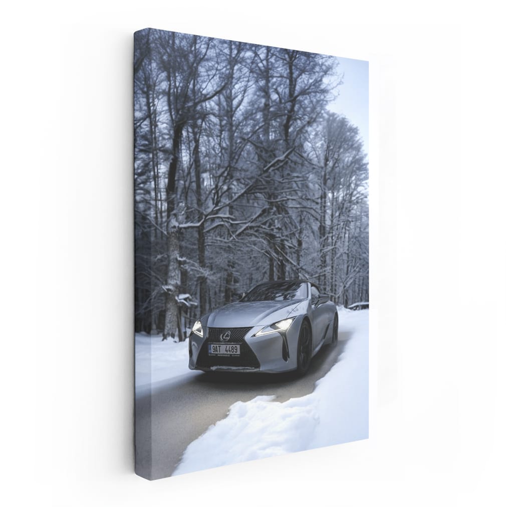 Lc 500h Grey Winter Wall Art