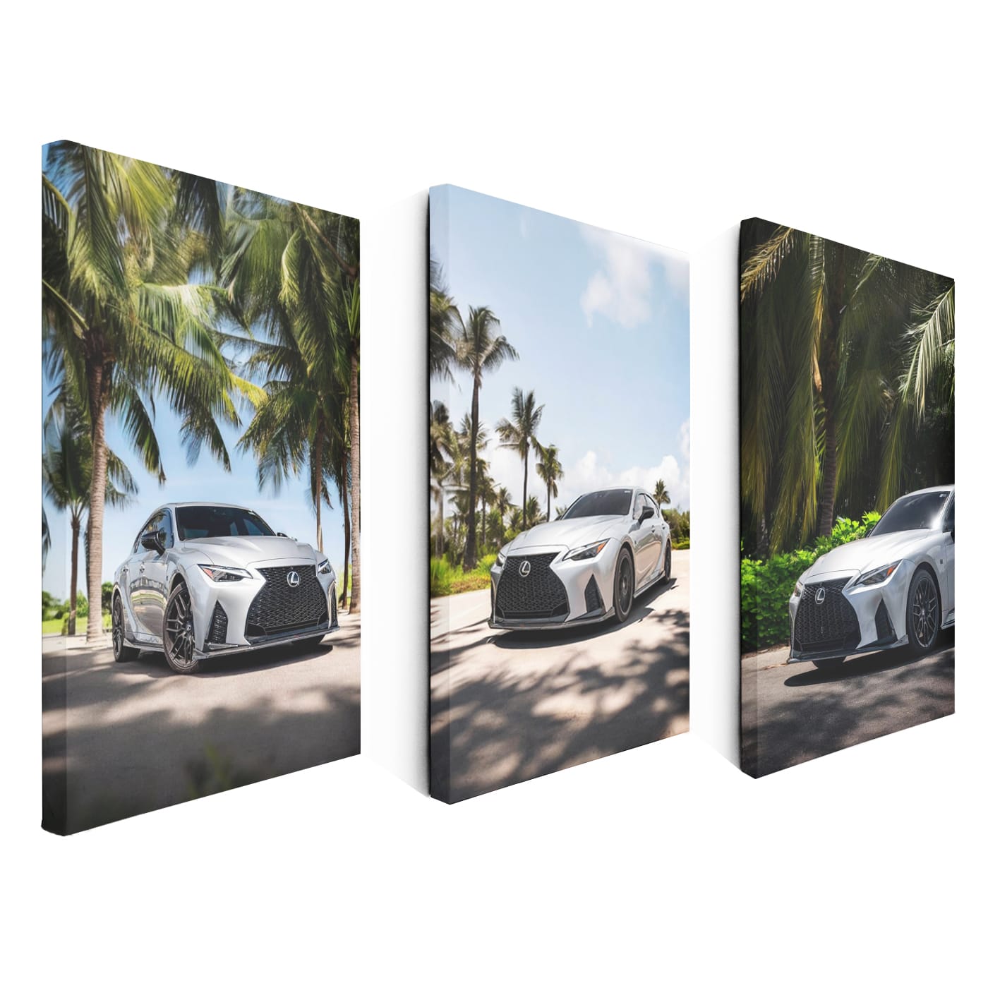 Lexus IS 500 Under The Palm Trees Set of 3