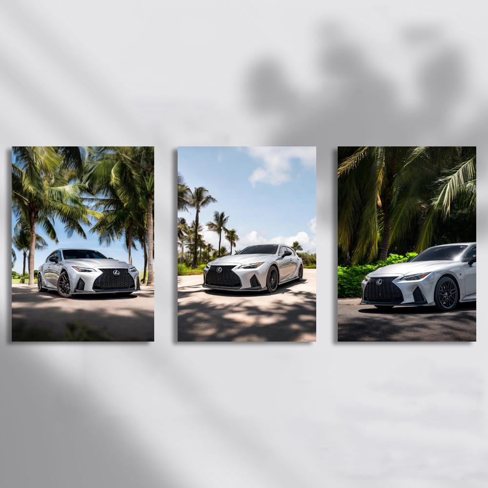 Lexus IS 500 Under The Palm Trees Set of 3