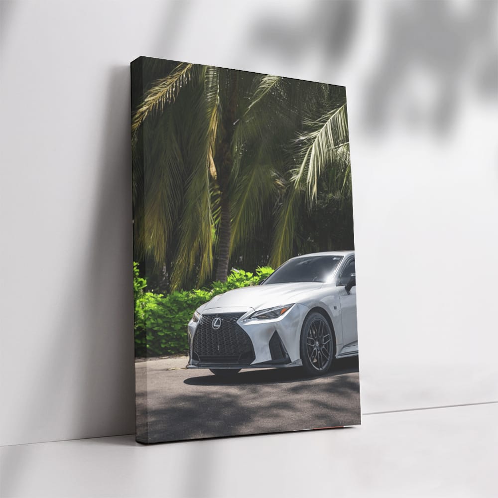 Lexus IS 500 Beneath Palm Trees - Power and Elegance