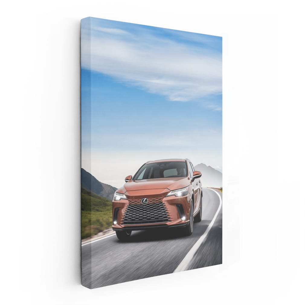 Lexus RX 350 PREMIUM+ AWD in Mountains - Rugged Elegance