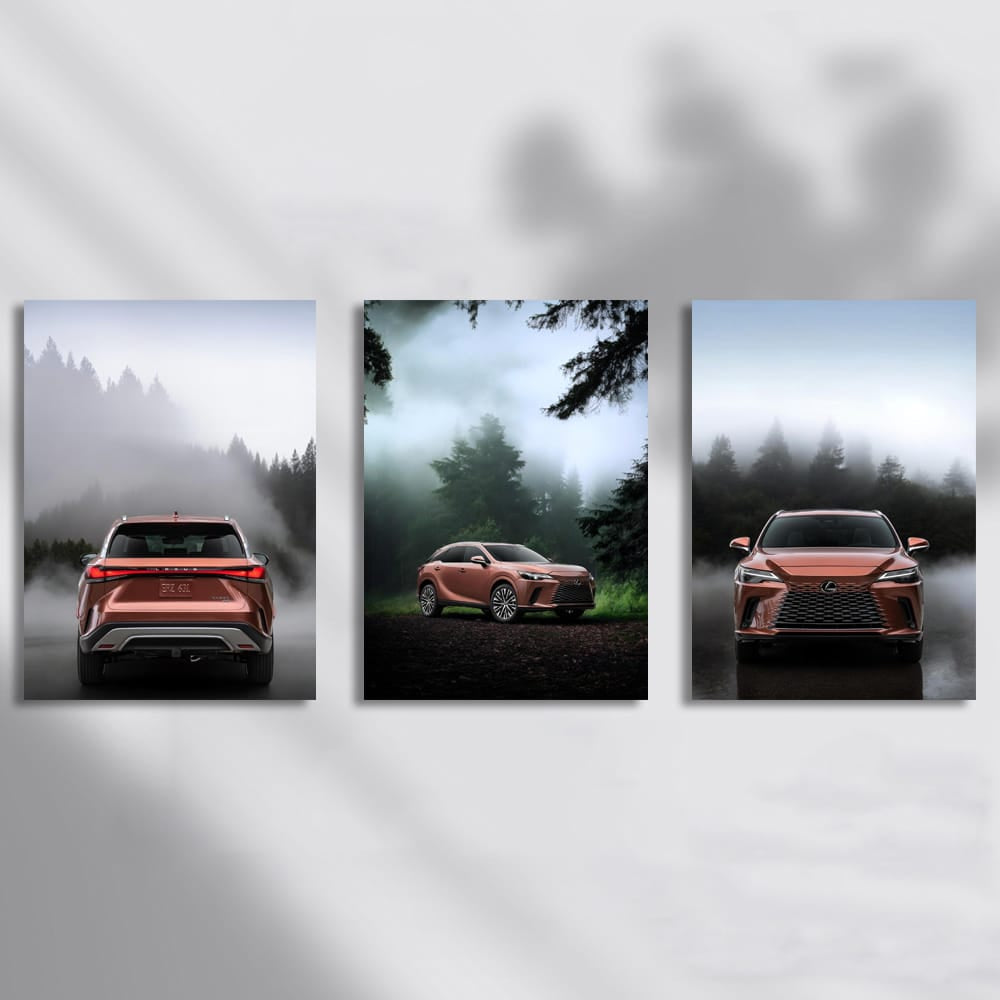 Lexus RX In The Fog Set of 3