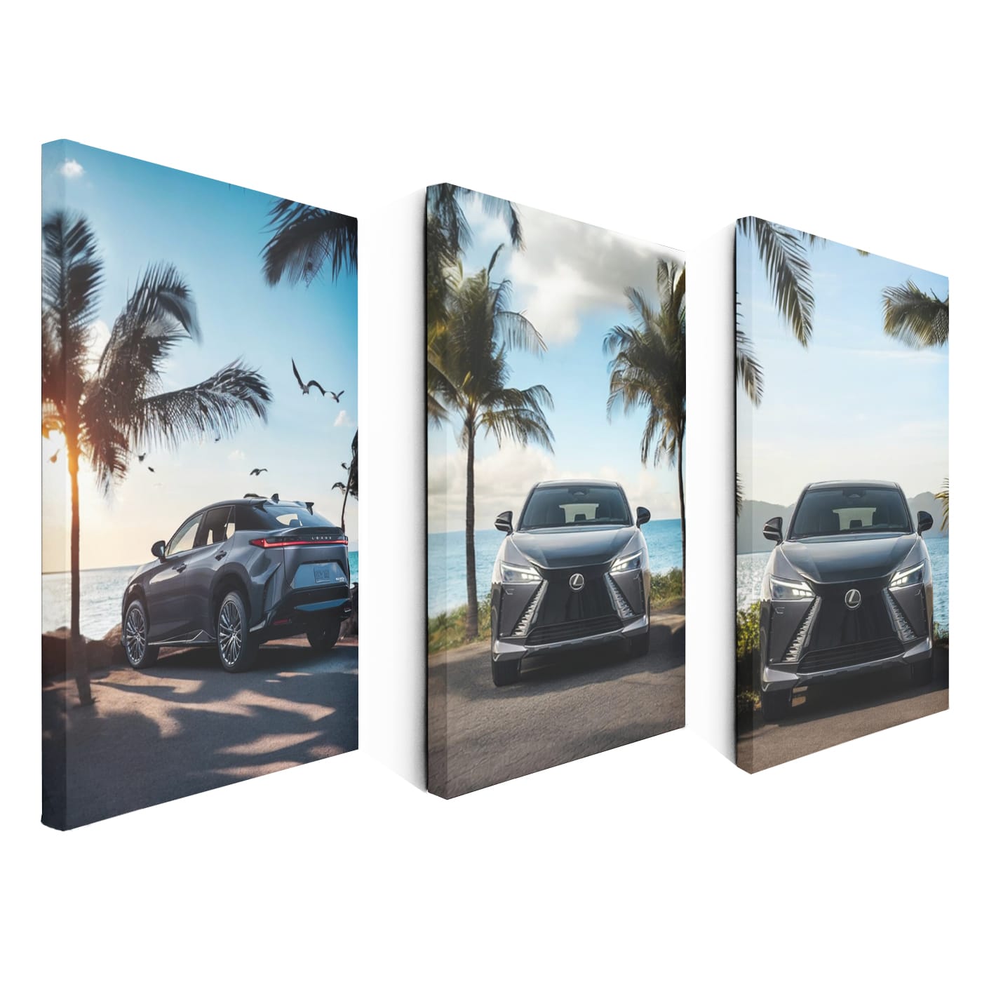 Lexus RZ On The Beach Set of 3