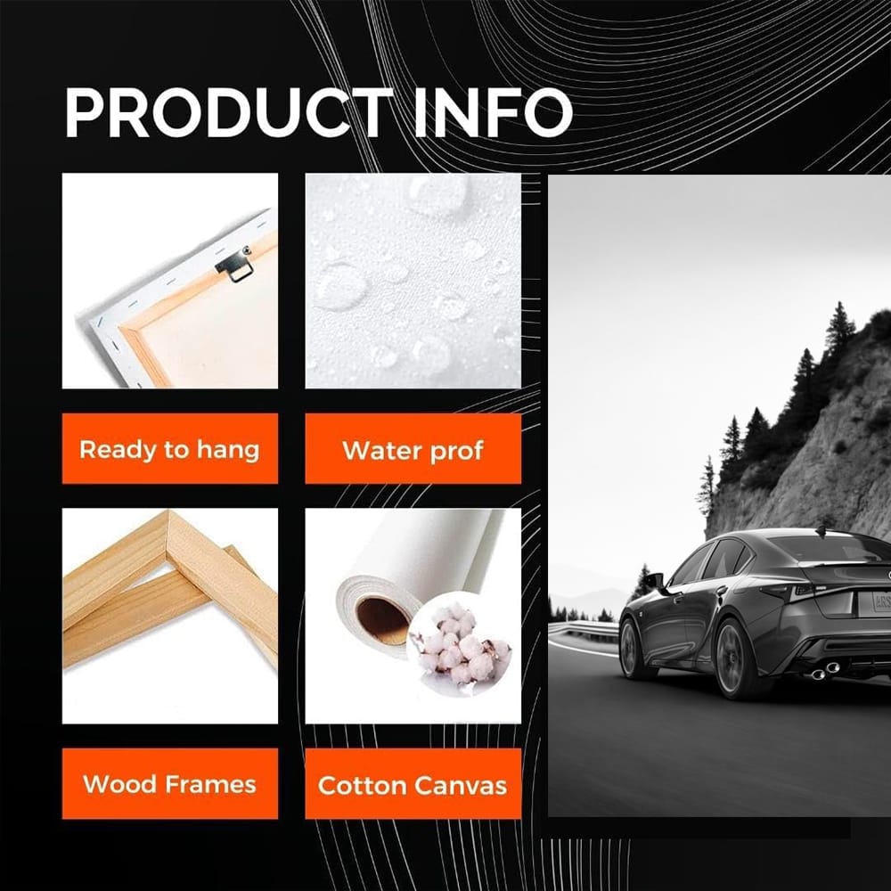 Lexus Black & White Mountain Scene - Elegance & Power