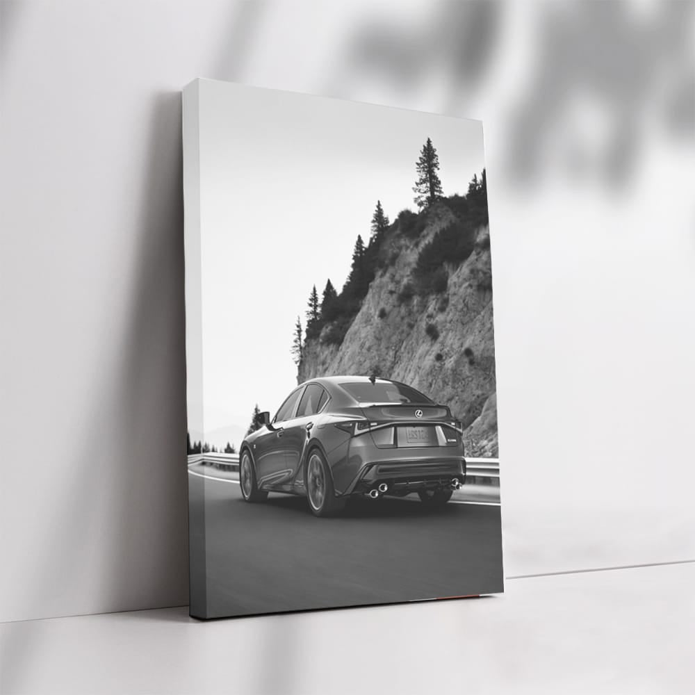 Lexus Black & White Mountain Scene - Elegance & Power