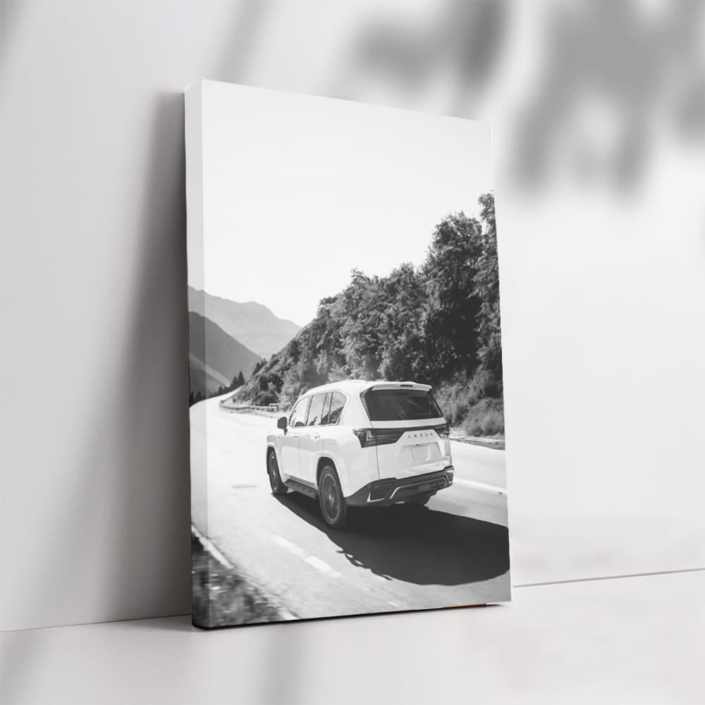 Lexus Black and White Mountain Drive - Elegant Adventure