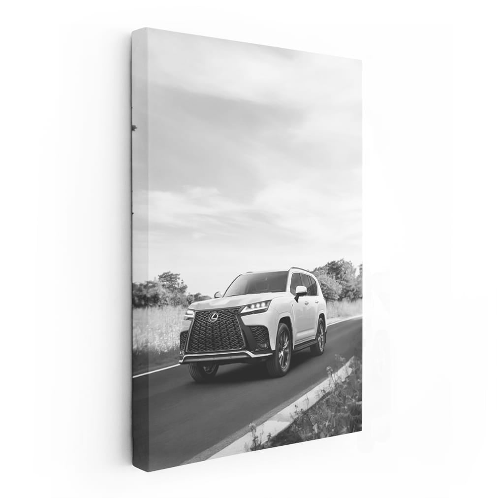 Lexus Black and White Journey - Elegance in Motion