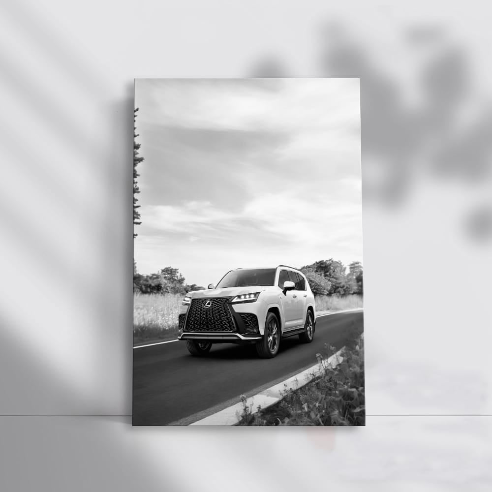 Lexus Black and White Journey - Elegance in Motion