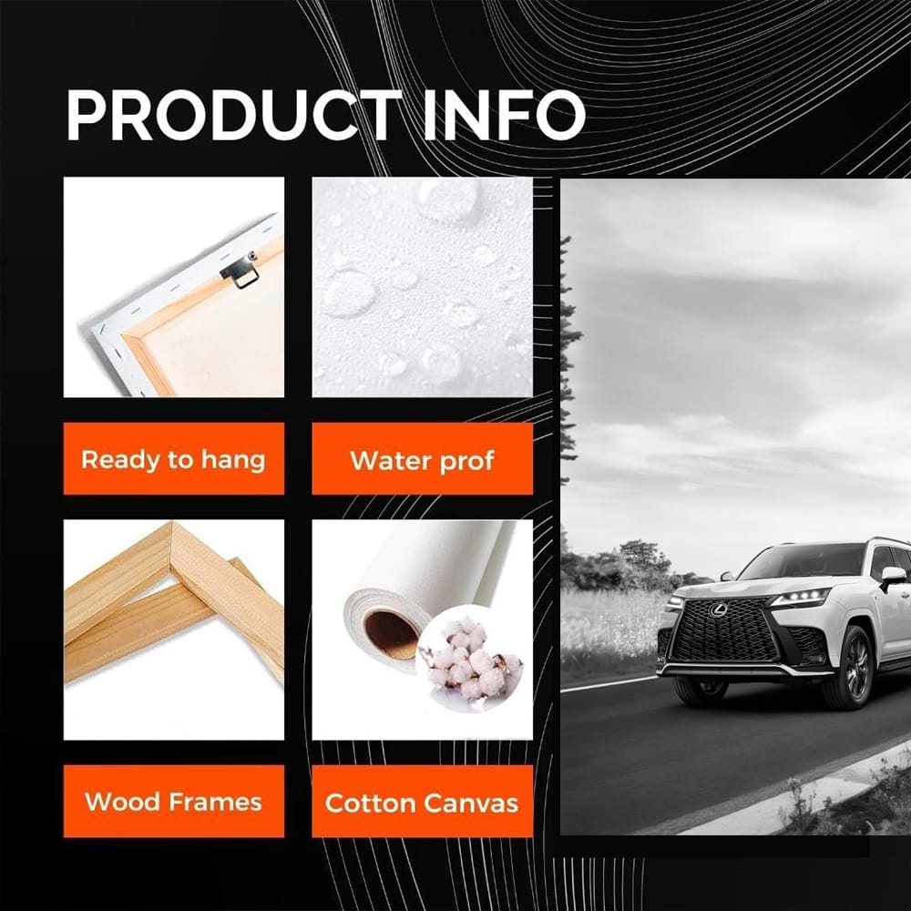 Lexus Black and White Journey - Elegance in Motion