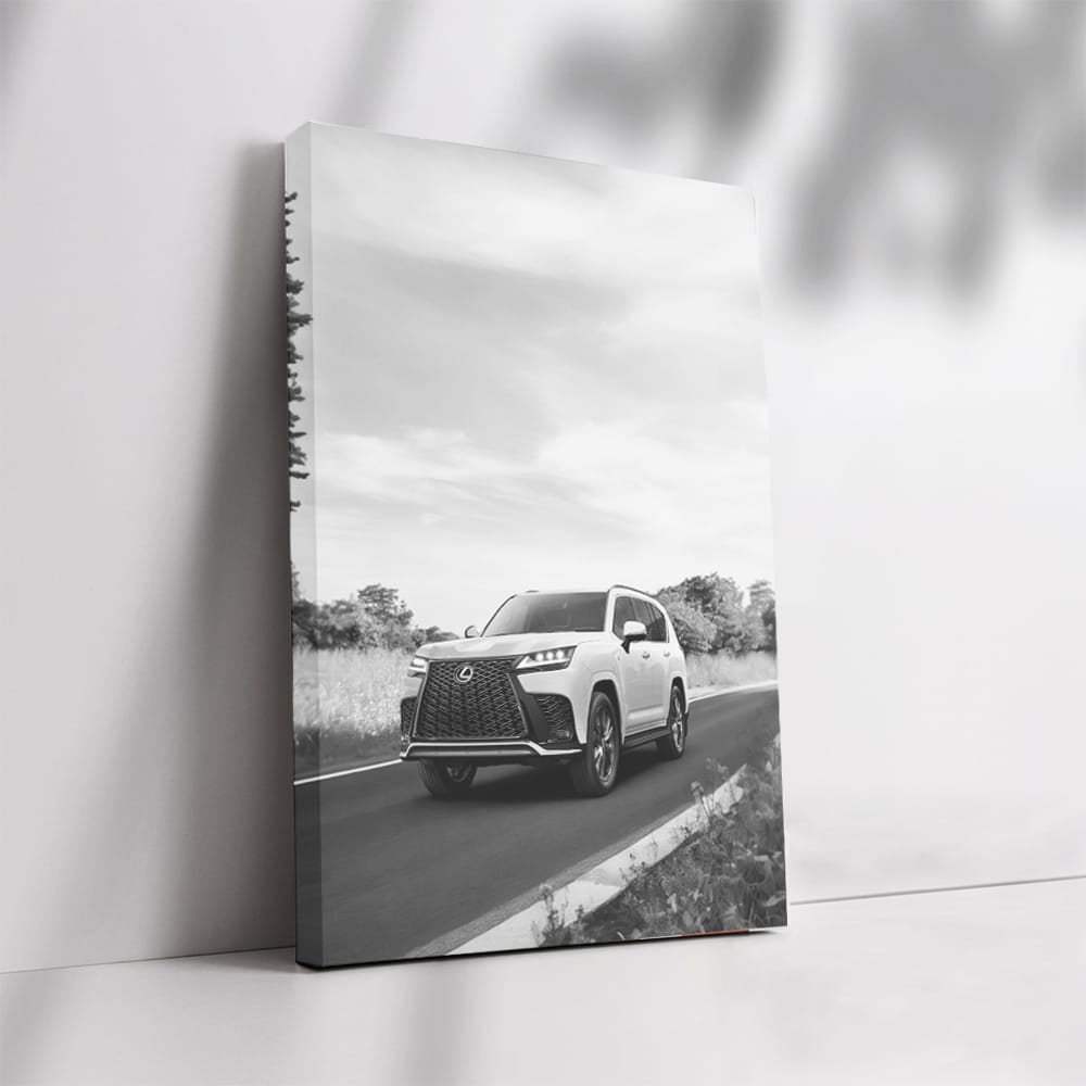 Lexus Black and White Journey - Elegance in Motion